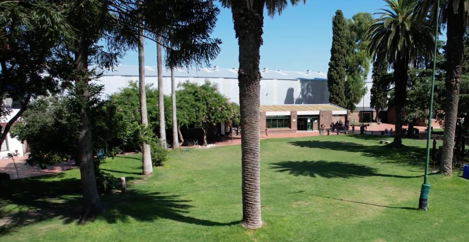 El parque del club con palmeras y el edificio social al fondo