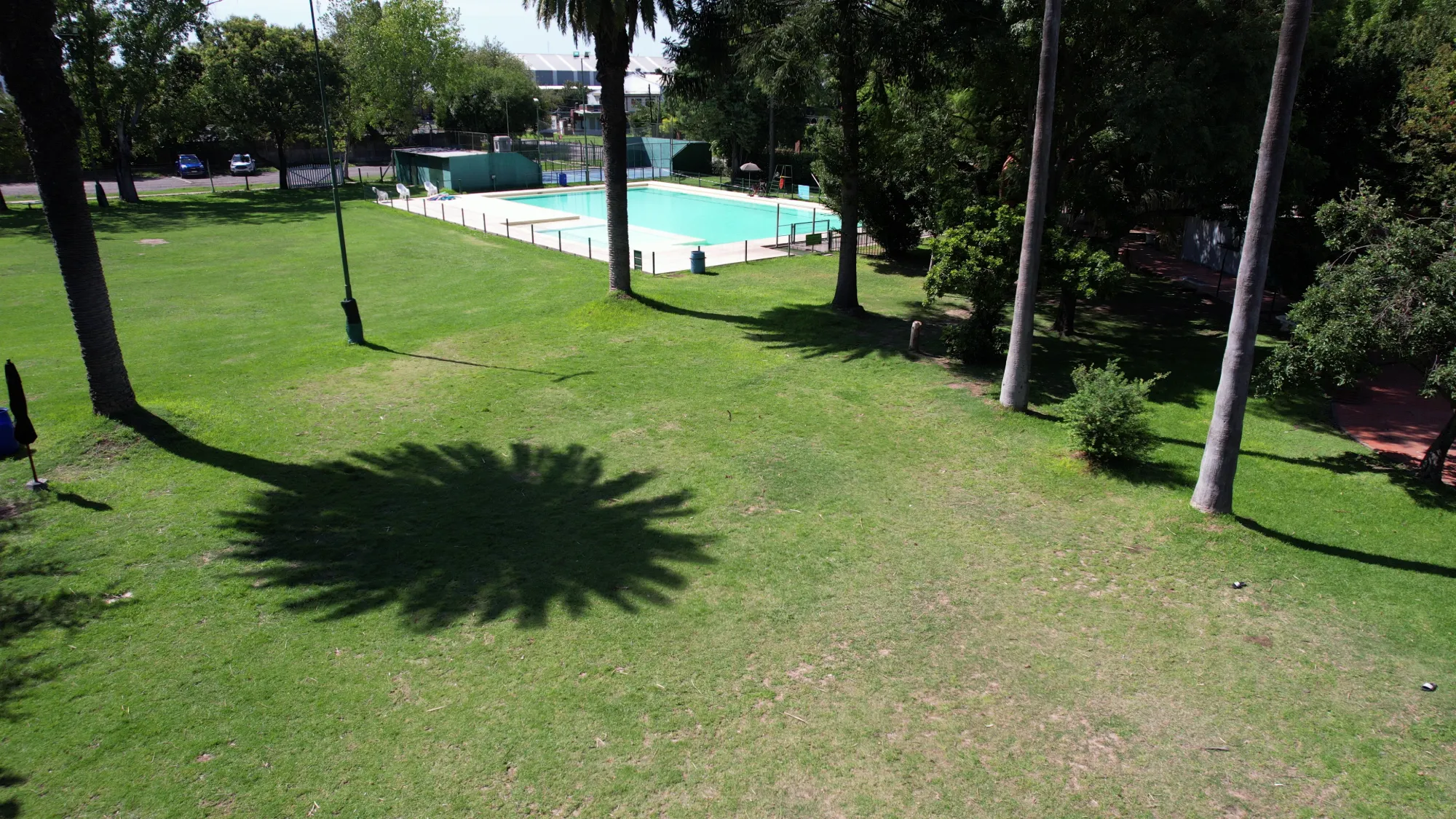 Vista aérea de la pileta del club rodeada de parque y palmeras